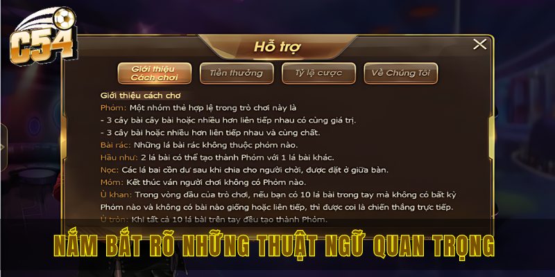 Nắm bắt rõ những thuật ngữ quan trọng 